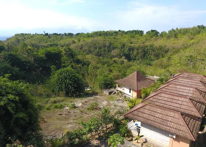 The Pancor Jungle