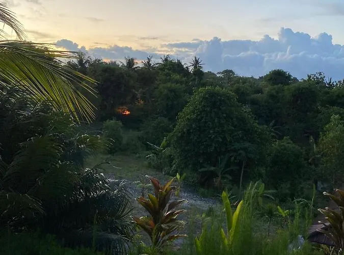The Pancor Jungle Resort Ped