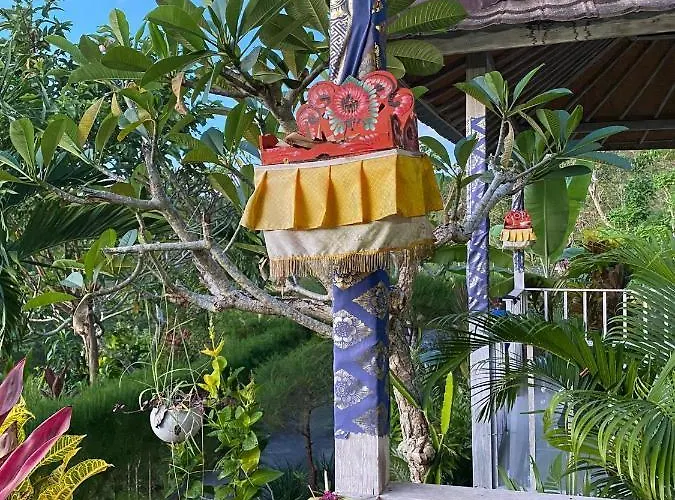 Resort The Pancor Jungle