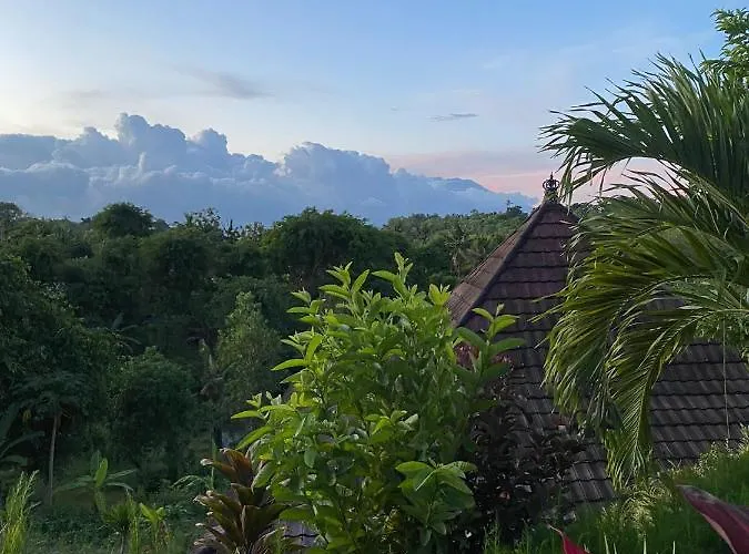 Resort The Pancor Jungle