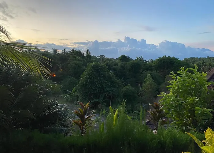 The Pancor Jungle Resort
